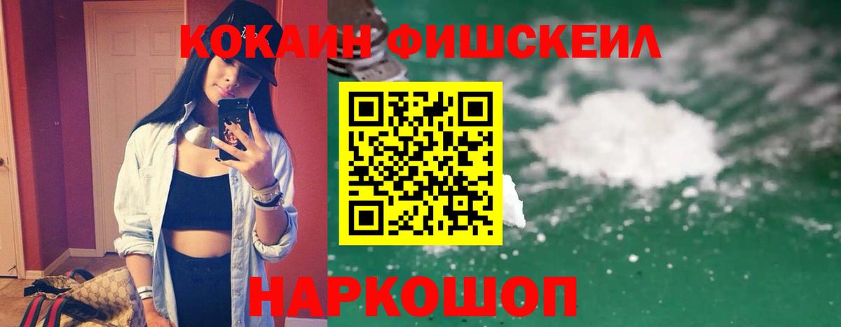 COCAIN Эквадор Богданович