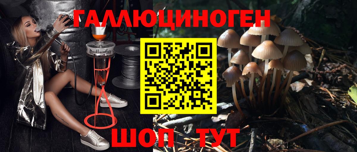Галлюциногенные грибы мицелий  Вход с VPN  Галлюциногенные грибы Magic Shrooms  Богданович 