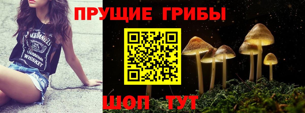 Галлюциногенные грибы ЛСД Богданович