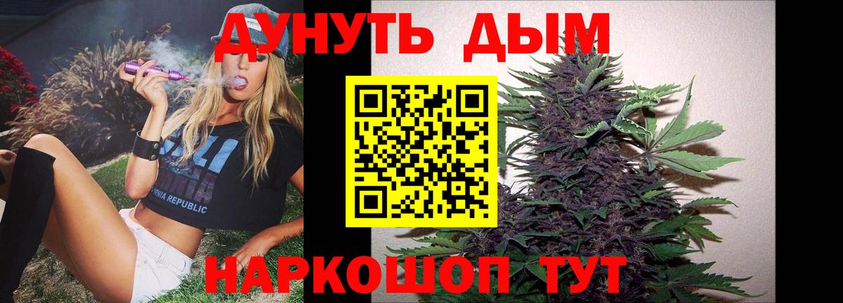 Канабис Bruce Banner  Вход с VPN  Бошки марихуана тримм  Марихуана планчик  Богданович 